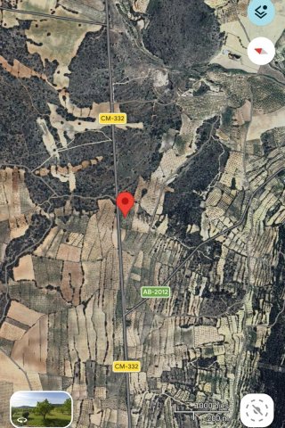 Terreno agrícola con almendros y olivos