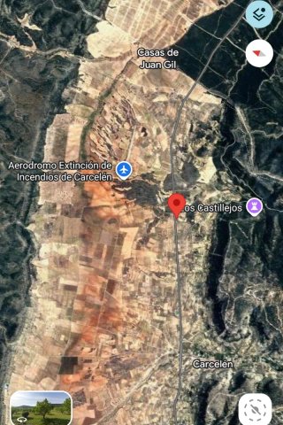 Terreno agrícola con almendros y olivos
