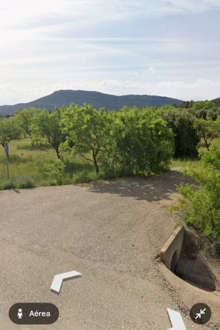 Terreno agrícola con almendros y olivos