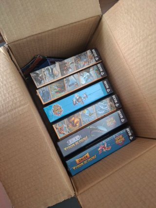 Lote de juegos Mind Bug