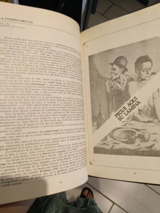 Libro de arte del MUSEO PICASSO