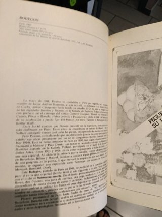 Libro de arte del MUSEO PICASSO