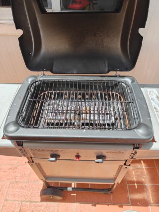 Barbacoa Campingaz Expert Plus