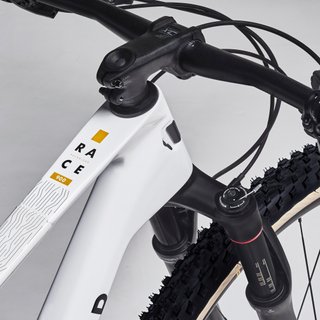 Bicicleta montaña 29" carbono Rockrider RACE 900 GX Eagle