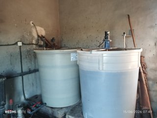 Finca en producción de limoneros