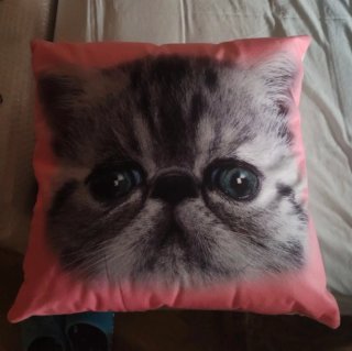 Cojín gato rosa