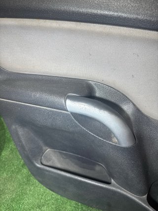 Panel Puerta Citroen C3 Conductor