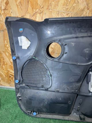 Panel Puerta Citroen C3 Conductor