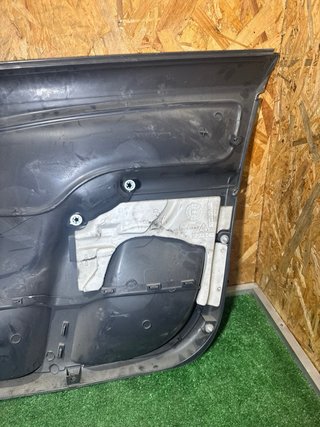 Panel Puerta Citroen C3 Conductor