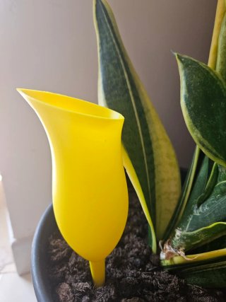 2 Dispenser Acqua per Piante a forma di fiore