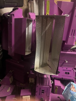 Lámpara Profesional Violeta