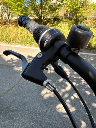 Bicicleta BH Beartrac