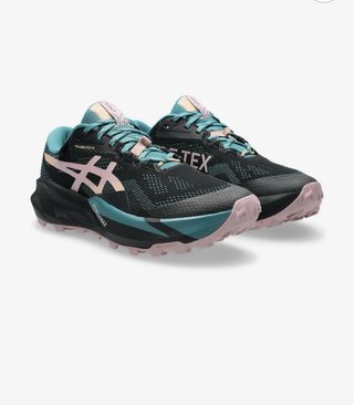 Zapatillas ASICS Trabuco 14 Gore-Tex