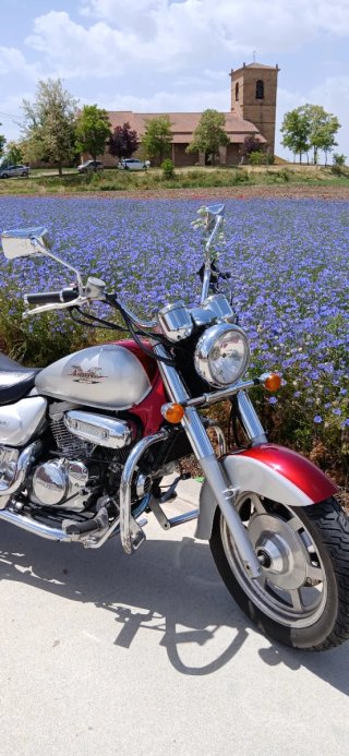 Hyosung Aquila 250 GV - Moto Cruiser