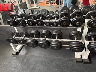 Mancuerneros Gimnasio