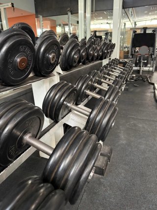 Mancuerneros Gimnasio