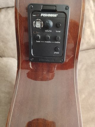 Guitarra Clásica Electrificada