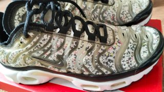 Nike Air Max Plus TN SE Multicolor