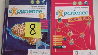 Experience. Per la Scuola media. Con e-book. Co...