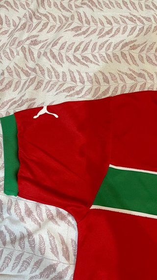 Camiseta Marruecos 2022 Puma