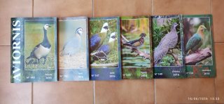 Revista Aviornis Internacional