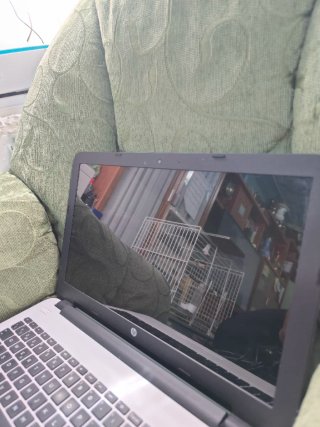 Ordenador portátil HP Notebook 15 (TPN-C125)