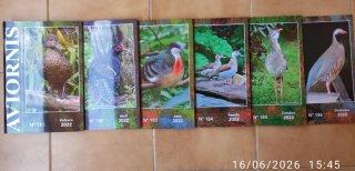 Revista Aviornis Internacional