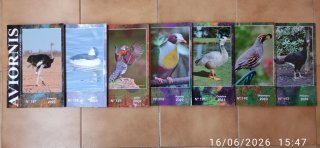 Revista Aviornis Internacional