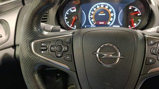 Opel Insignia  2.0 CDTI SS 170 CV Excellence (2014)
