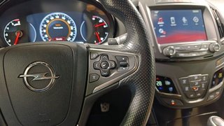 Opel Insignia  2.0 CDTI SS 170 CV Excellence (2014)