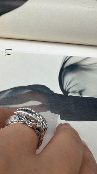 Anillo Plata Ouroboros Serpiente