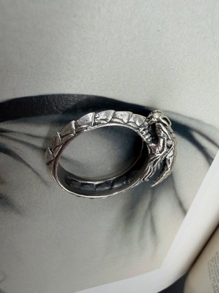 Anillo Plata Ouroboros Serpiente