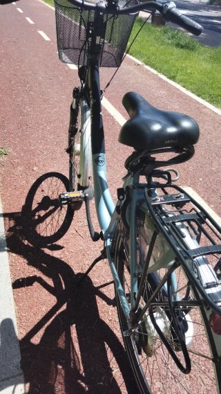 Bicicleta Urbana Paseo
