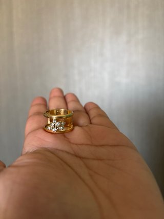 Anillo Apodemia con Circonitas