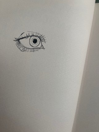 Anatomía de las emociones