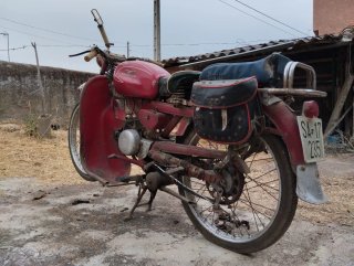 Moto Guzzi Cardelino 73 - 1964