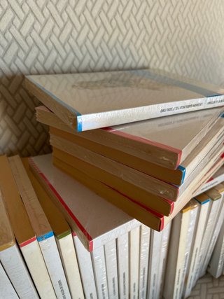 Colección libros “Conocer la historia”. 40 libros