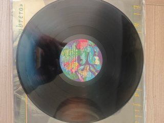 Vinilo último de la fila.