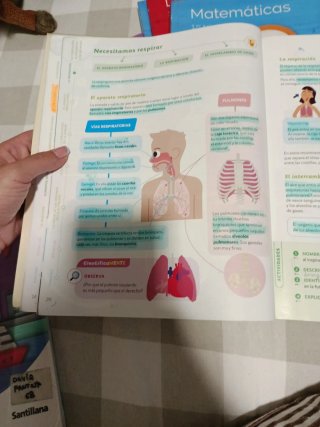 Ciencias de la Naturaleza, 6 Primaria, Proyecto...