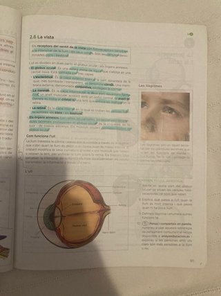 Biologia i geologia, 3 ESO, Illes Balears, O.M.