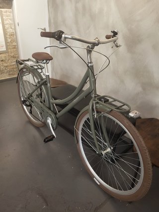 Bicicleta Paseo Alpina Aluminio
