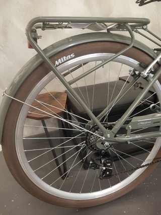 Bicicleta Paseo Alpina Aluminio