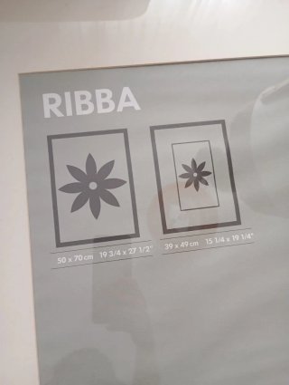 2 Cuadros Ribba Ikea 50x70cm Negros