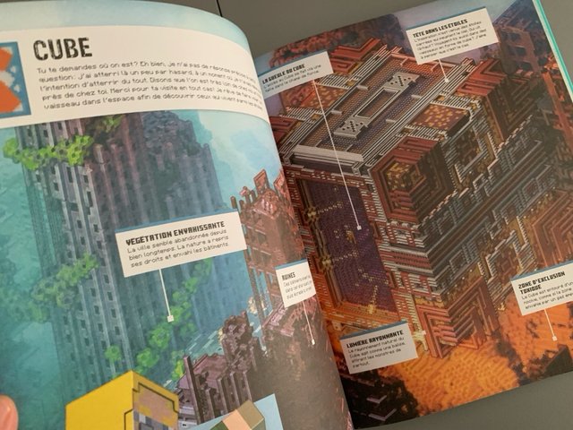 Minecraft Les bases épiques. Des constructions ...