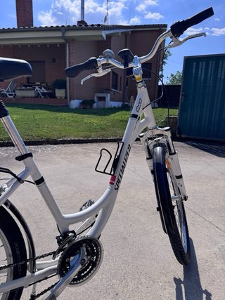 Bicicleta Paseo Specialized Bianca