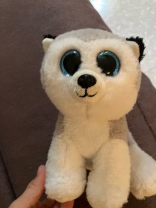 Peluche Koala y Perro Husky