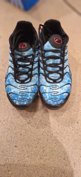 Zapatillas Nike TN Originales