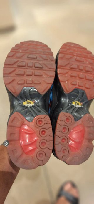 Zapatillas Nike TN Originales