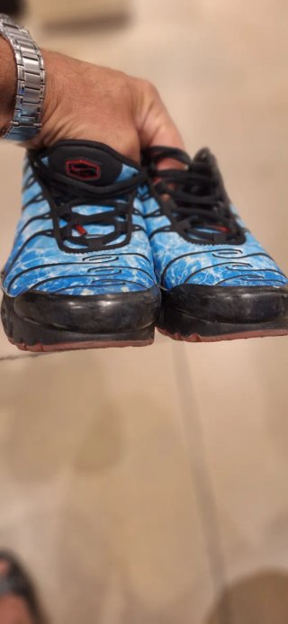 Zapatillas Nike TN Originales