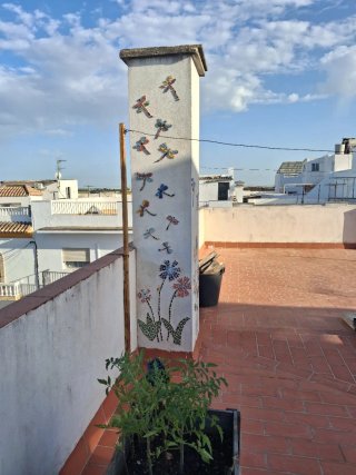 Mosaico Tortuga sobre Malla